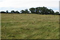 Footpath up to Lilbourne Gorse