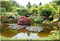 Bute - Mount Stuart - Pond immediately west of house