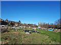 Allotments, Barracks Lane