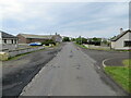 Minor road passing through Canisbay