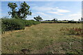 Pasture by the Yelvertoft Road