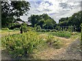 Clay Coton allotments