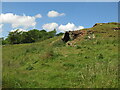 Lime kiln north of New House