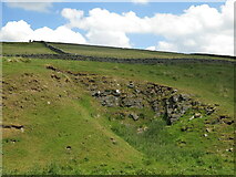 NY8739 : Disused quarry by the lime kiln north of New House by Mike Quinn