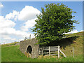 Lime kiln near Whitestones Farm