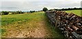 NY4831 : Dry stone wall dividing grass fields by Luke Shaw