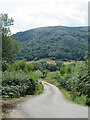 Downhill on the way up the dale