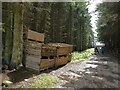 Crates of logs in Kingslaw Plantation