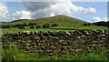 Cattle grazing under Parlick