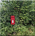 Red amid green, Cwmcarvan, Monmouthshire