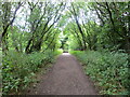 Woodland footpath giving access to Royd Moor Reservoir