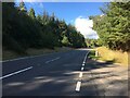 A95 near Dulnain Bridge