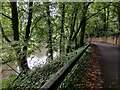 Lea Lane and the Staffordshire and Worcestershire Canal