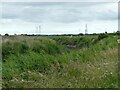 River Parrett near Linden Farm