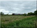 ST3134 : Train on line south of Bridgwater, seen from canal bank by David Smith