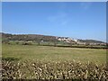 Fields near Penrhyn-side