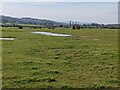 Semi-permanent pools on Morfa Penrhyn