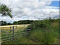 Field gate on Kyo Lane