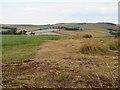 Fields at Brockholes