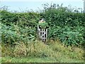 SK1872 : Gate and stile in a hedge by Ian Calderwood