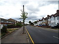 Gander Green Lane, Sutton