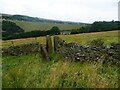 Stile on Footpath 109/1, Barkisland