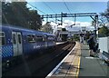 Train arriving at Westerton