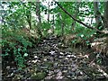 Redcar Brook dried up on August 1st 2022