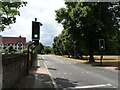 Crossing on Lammas Lane, Esher