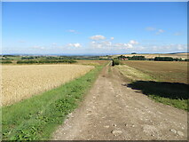 SE8665 : Track through cultivated fields descending towards Wharram le Street by Peter Wood