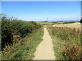 Footpath giving access to the site of the Medieval Village of Wharram Percy