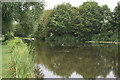 Former Edgmond Basin, Shrewsbury and Newport Canal