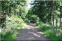 NT1888 : Vehicle on forest track by Bill Kasman