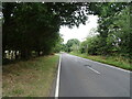 Chertsey Road (A319) near Apple Tree Farm