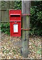 Elizabeth II postbox on Bagshot Road, Chobham