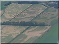 Cropmarks on fields NW of Lakenheath: aerial 2022 (3)