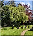 Starkey Memorial Bench, Whaddon, Gloucestershire