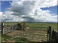 Gate and field near Anglesey Circuit