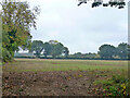 Field west of Chartridge Lane