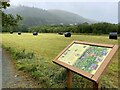 NY1930 : Hay meadow and information board by Philip Jeffrey