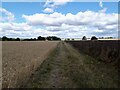 Field track to the medieval village of Goltho