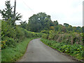 Cobblershill Lane