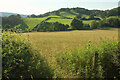 Field near Brook House Farm