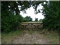 Field entrance off Abingdon Road, Dorchester