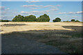 Harvested field at Honiley