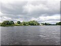 River Tay, Luncarty