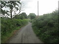 Quiet country lane to Grithig cottage.