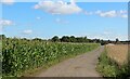 Access Lane to Youlton Lodge