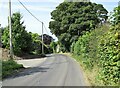 Looking up the road at Dilston