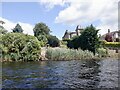 River Tay, Perth